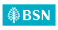 BSN Bank logo